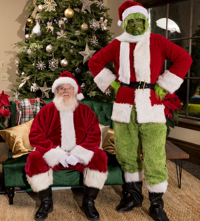 Grinch costume