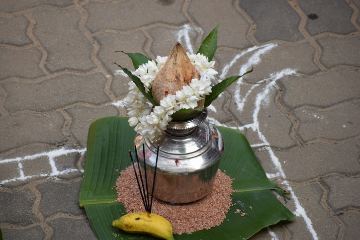 Pongal festival