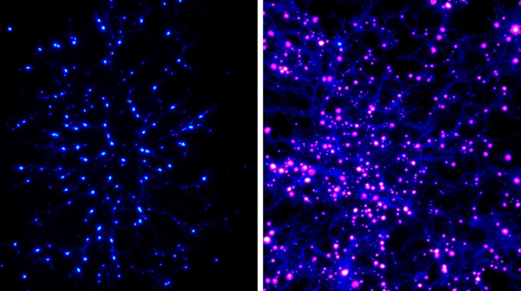 mechanisms enabling asymmetric sleep states