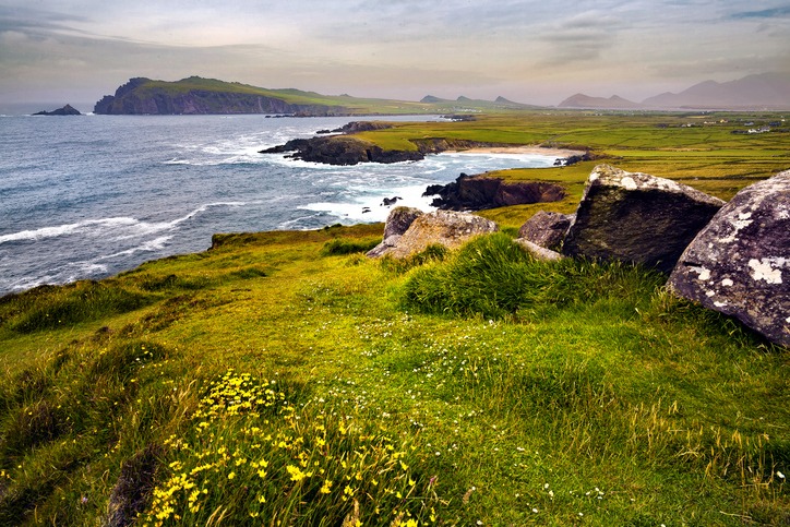 Ireland's Wild Green Coasts