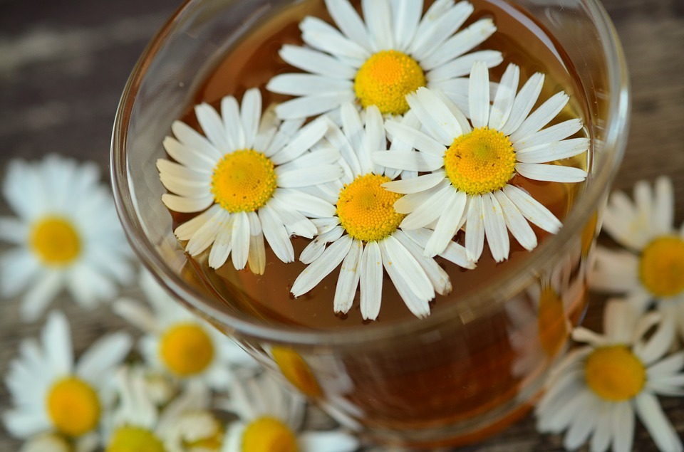 Chamomile Aroma therapy for insomia