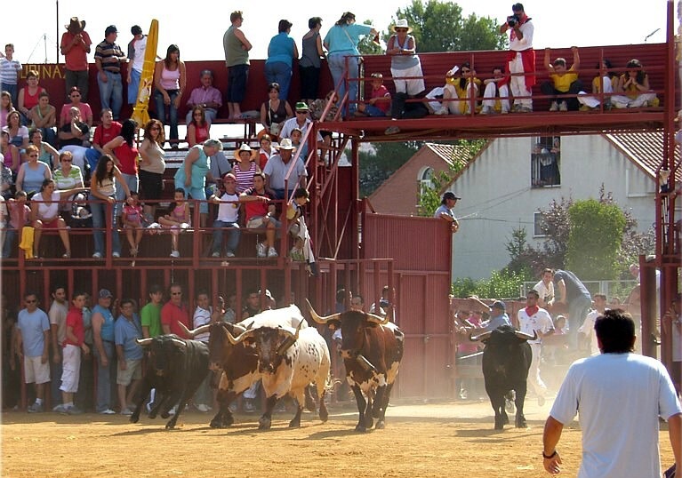Running of the Bulls in Pamplona Spain