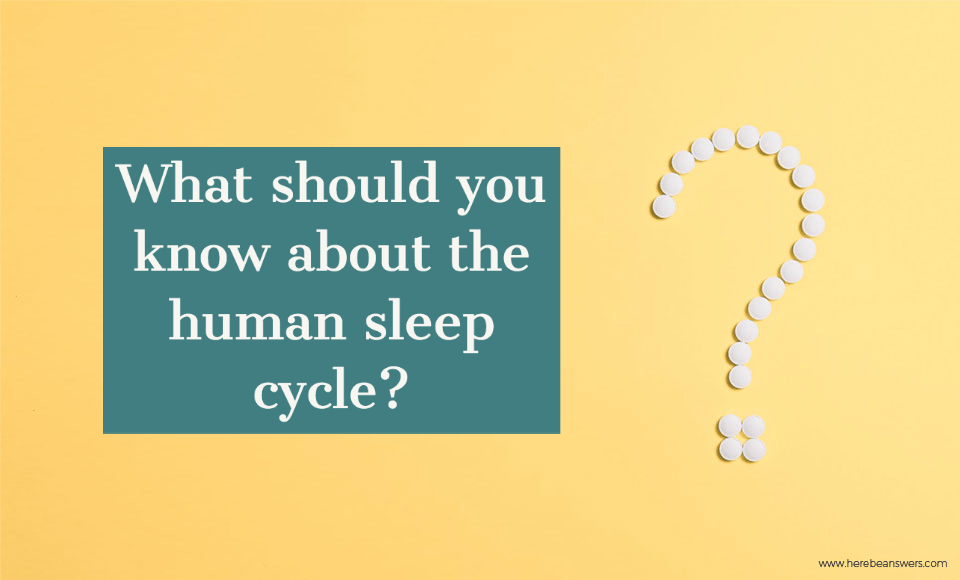 What should you know about the human sleep cycle