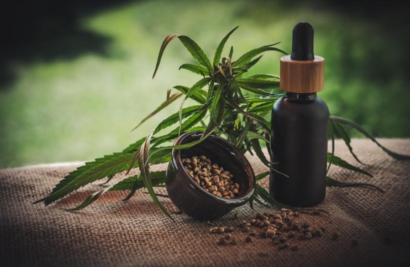 CBD- Everything That You Need to Know About It