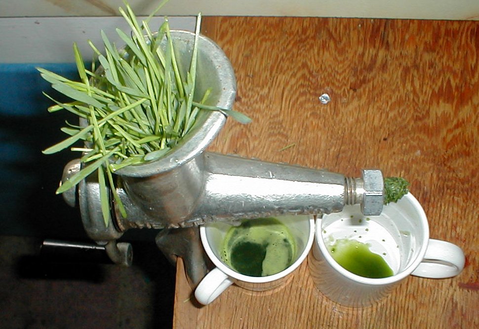 A manual juicing machine required to extract wheatgrass juice. 