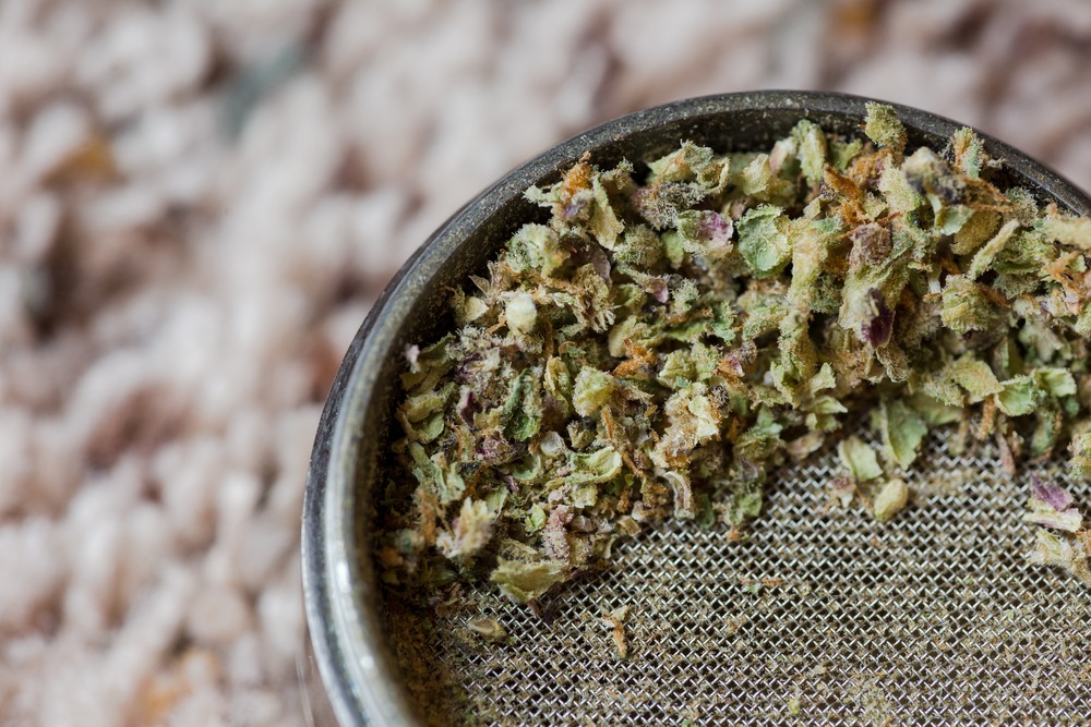 A Comprehensive Guide to Buying a Grinder for Wholesale