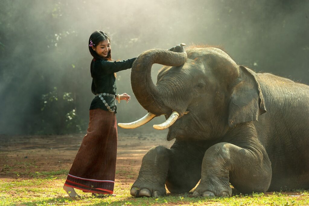 Girl Elephant Petting